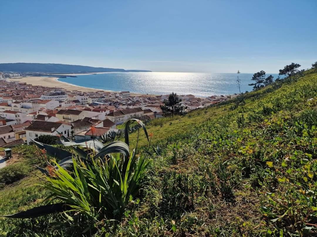 Lucas House Villa Nazare Exterior photo